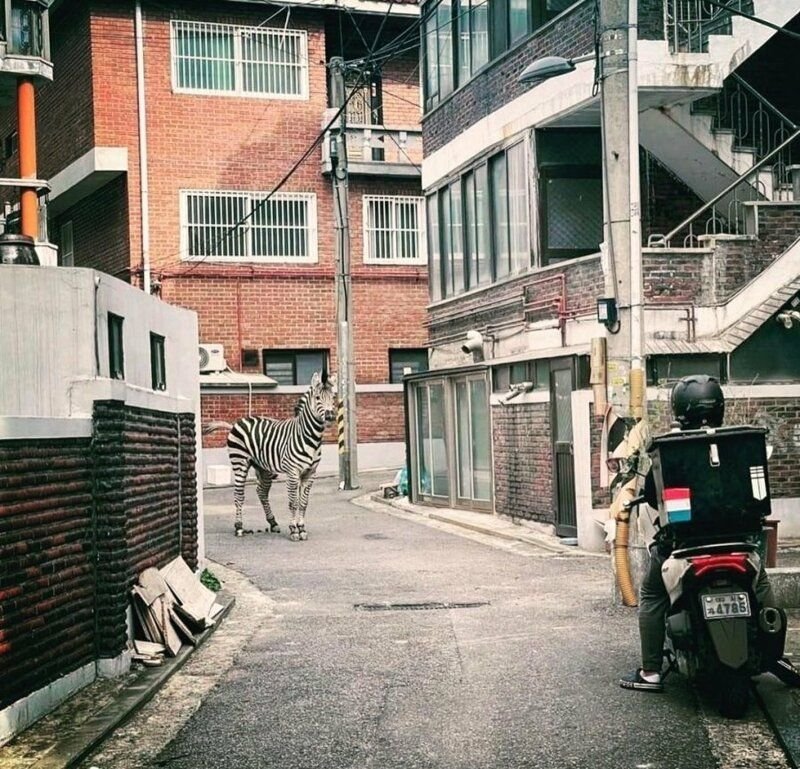 2023 대한민국 퓰리처상 후보작들 