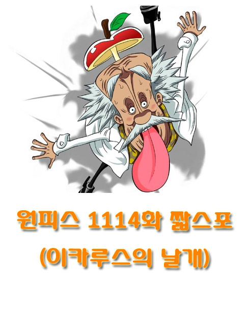 원피스 1114화 짧스포 01